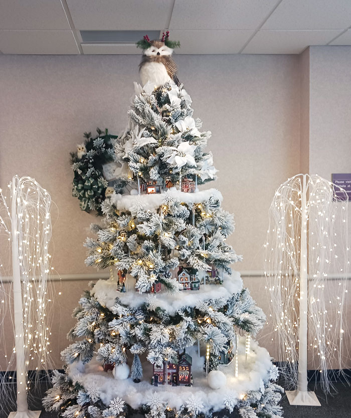 Christmas Tree in the Winchester Internal Medicine Office